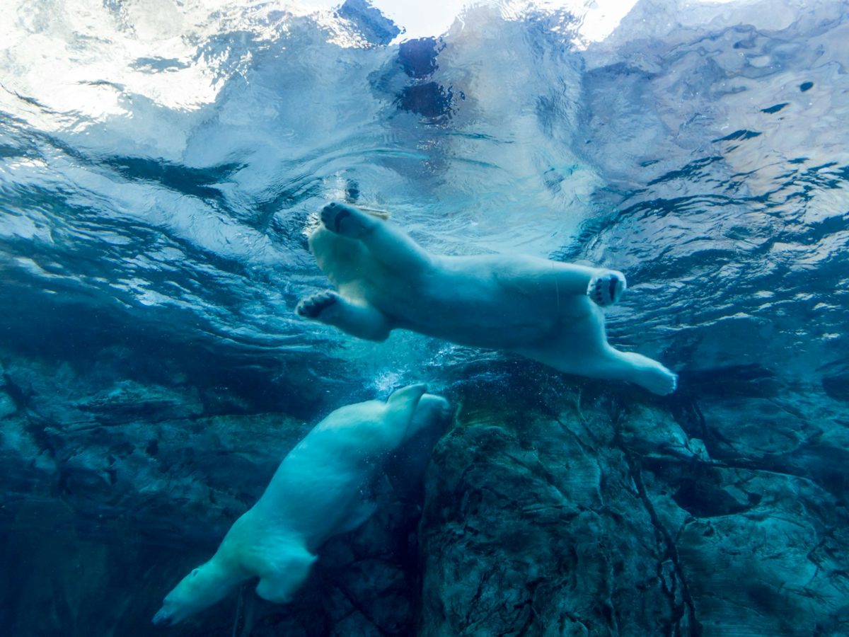 店内【極寒キャンペーン】始動しました！